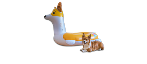 Corgi Pool Float